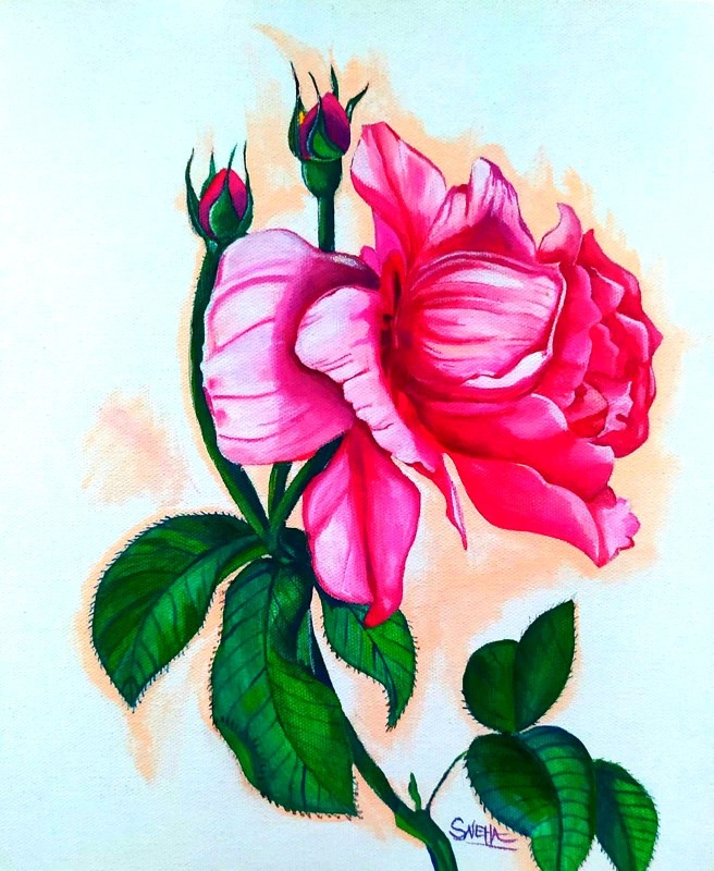 Beautiful Rose Flower Artwork