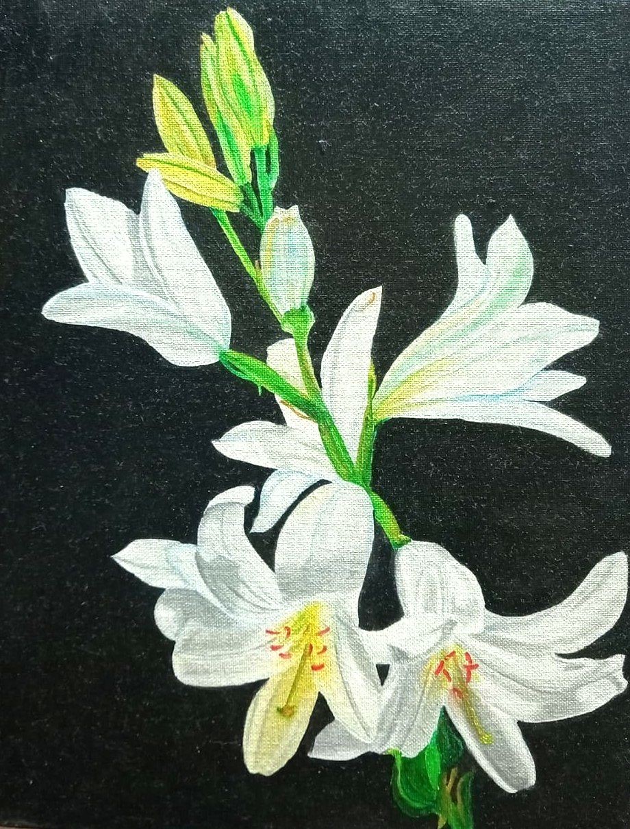 Exquisite White Lily Flower Oil Paintings - Original Art by Sneha